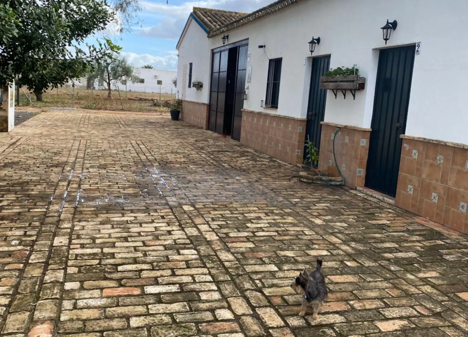 Casa Los Laureles Pilas Spain